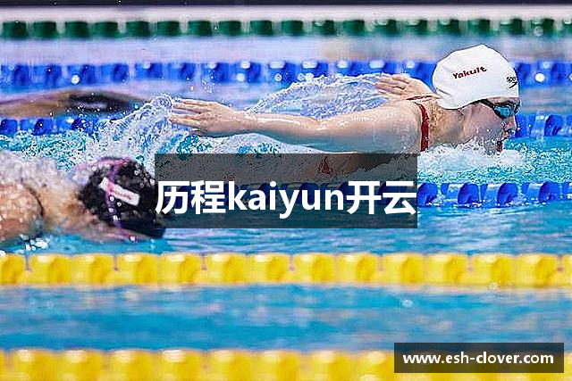 历程kaiyun开云